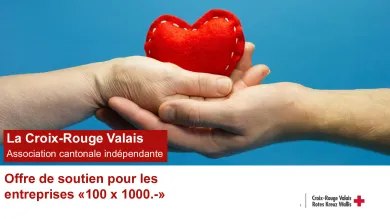 PROJET-100-x-1000-Dossier-Recherche-de-Fonds-entreprises-2026-VF.pdf